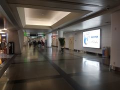 -厦门高崎国际机场-T3航站楼