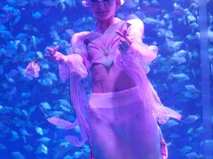 -合肥海洋世界