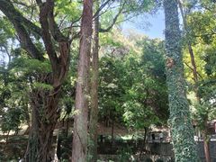 -南华禅寺