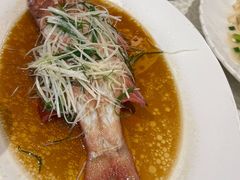 -顶好海鲜酒家