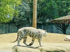 -常州淹城野生动物世界