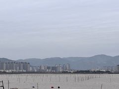 -北岐滩涂
