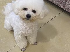 -瑞派名望24h动物医院异宠专科·猫专科·骨科·重症监护分院