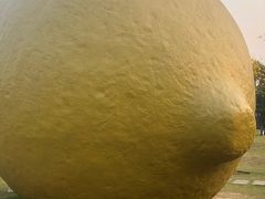 -顺峰山公园
