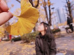 -百林公园-两江幸福广场