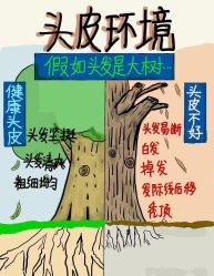 -希梵尔头皮抗衰·科技养发