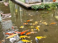 -绿房子方寸咖啡(星海名城店)
