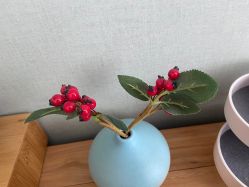-梵隐SPA