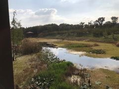 -同里国家湿地公园
