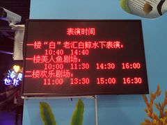 -临沂极地海洋王国