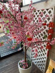 -卓玥国际月子会所(罗山路店)