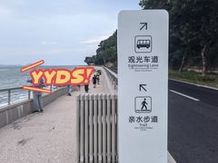 -杨梅坑