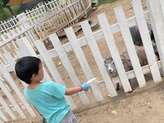 -前小桔亲子创意农场·草莓采摘·露营烧烤