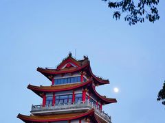 -奉贤海滩