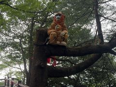 -秦岭天竺山生态文化旅游景区