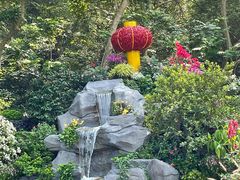 -深圳仙湖植物园