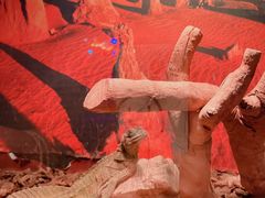 -正佳极地海洋世界