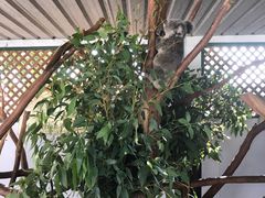 -费瑟代尔野生动物园