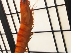 -渔日本料理铁板烧(新天地假日广场店)