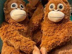 -IKEA宜家家居(南京商场)