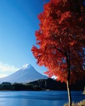 -清华大学-陈明游泳馆