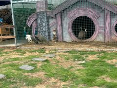 -乌石村