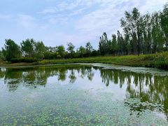 -东郊湿地公园