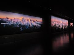 -罗红摄影艺术馆