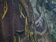 -萝卜潭瀑布群景区