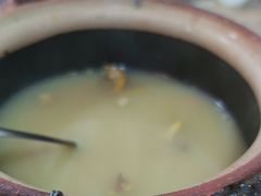 -东鸽皇(奥园·中环广场店)
