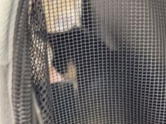 -艾贝尔宠物医院 ·中兽医·宠保定点(北门桥店)