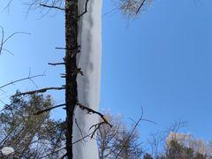 -峡谷浮石林景区