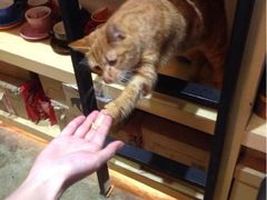 iphone_upload_pic-MIKAKU(万达广场上海宝山店)