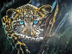 -罗红摄影艺术馆