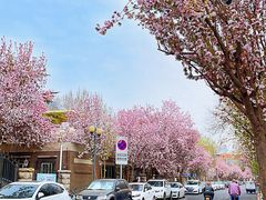 -天津五大道文化旅游区