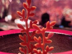 -地球美食剧场