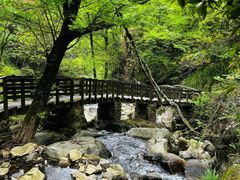-岳西天峡风景区