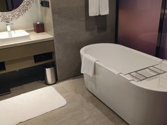 -南京禄口机场雅高铂尔曼大酒店