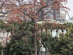 -北园酒家(小北路店)