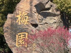 -无锡梅园公园