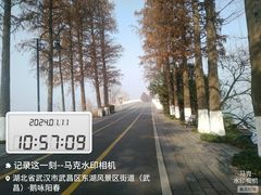 -东湖生态旅游风景区