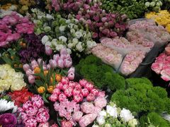-双季花艺园艺市场(浦东店)