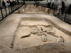 -洛阳周王城天子驾六博物馆