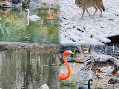 -济南野生动物世界