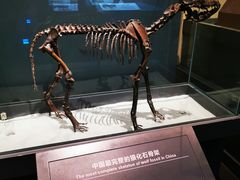 -大庆市博物馆
