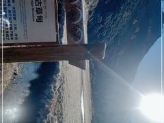 -稻城亚丁景区-冲古草甸