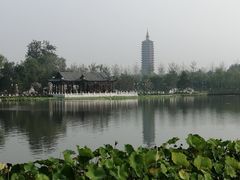 -西海子公园