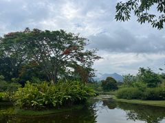 -中国科学院西双版纳热带植物园
