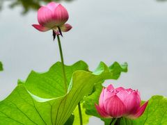 -成都市文化公园