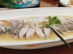 -鲁宴·鲁煨黄河生态大鲤鱼(月坛店)